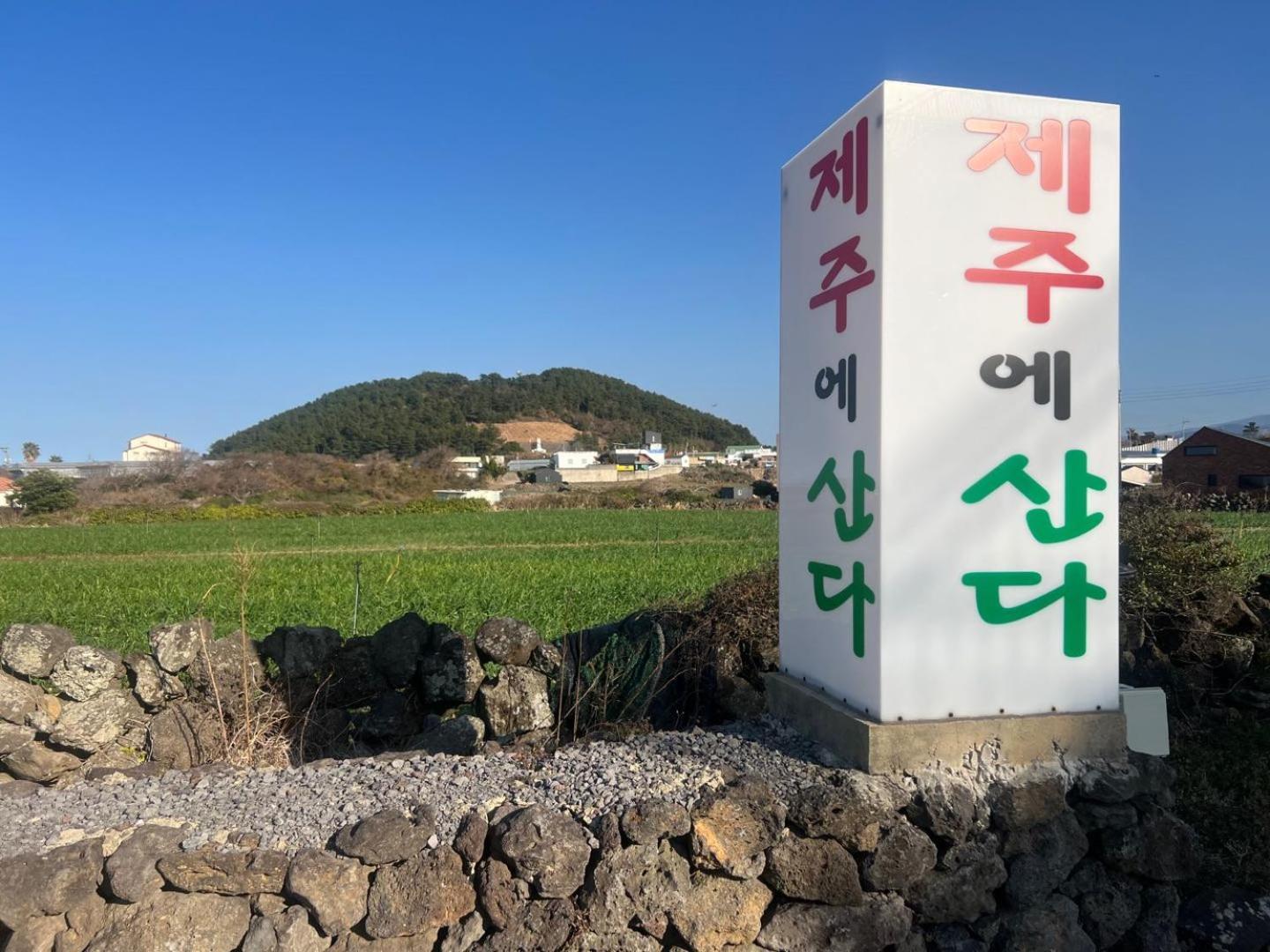 Living In Jeju Island Leilighet Eksteriør bilde